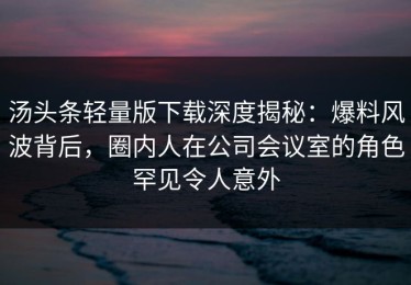 汤头条轻量版下载深度揭秘：爆料风波背后，圈内人在公司会议室的角色罕见令人意外
