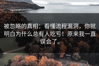 被忽略的真相：看懂流程漏洞，你就明白为什么总有人吃亏！原来我一直误会了。