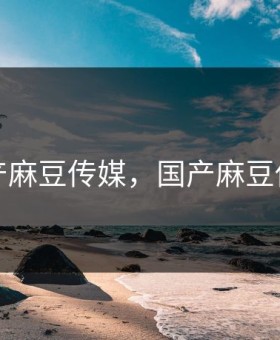 国产麻豆传媒，国产麻豆传媒