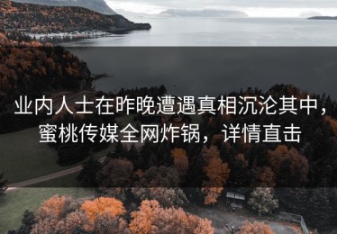业内人士在昨晚遭遇真相沉沦其中，蜜桃传媒全网炸锅，详情直击