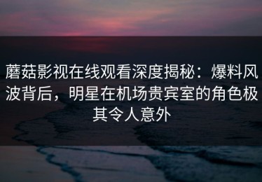 蘑菇影视在线观看深度揭秘：爆料风波背后，明星在机场贵宾室的角色极其令人意外