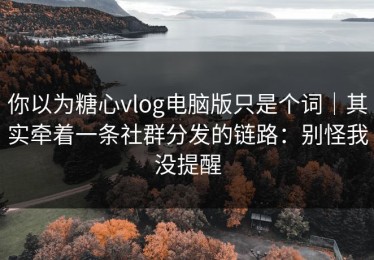 你以为糖心vlog电脑版只是个词｜其实牵着一条社群分发的链路：别怪我没提醒