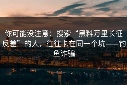 你可能没注意：搜索“黑料万里长征反差”的人，往往卡在同一个坑——钓鱼诈骗