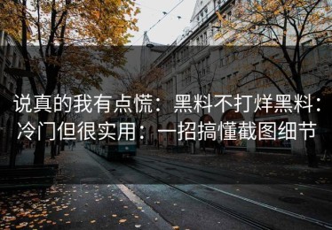 说真的我有点慌：黑料不打烊黑料：冷门但很实用：一招搞懂截图细节