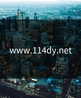 www.114dy.net