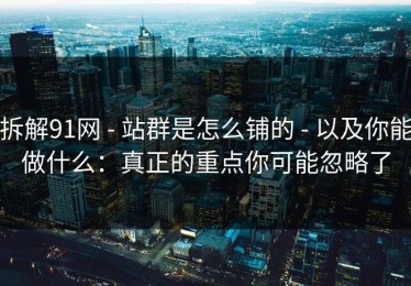 拆解91网 - 站群是怎么铺的 - 以及你能做什么：真正的重点你可能忽略了