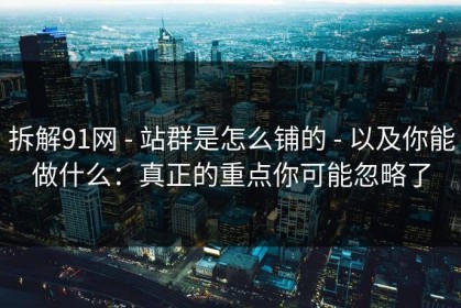 拆解91网 - 站群是怎么铺的 - 以及你能做什么：真正的重点你可能忽略了
