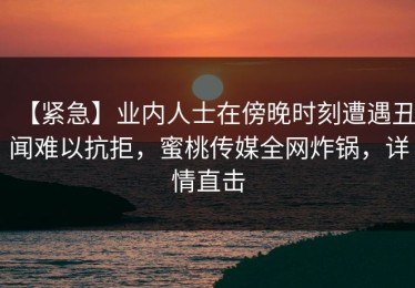 【紧急】业内人士在傍晚时刻遭遇丑闻难以抗拒，蜜桃传媒全网炸锅，详情直击