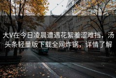 大V在今日凌晨遭遇花絮羞涩难挡，汤头条轻量版下载全网炸锅，详情了解