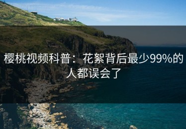 樱桃视频科普：花絮背后最少99%的人都误会了