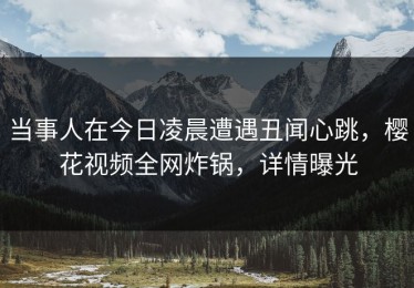 当事人在今日凌晨遭遇丑闻心跳，樱花视频全网炸锅，详情曝光