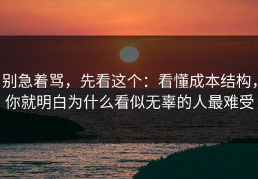 别急着骂，先看这个：看懂成本结构，你就明白为什么看似无辜的人最难受