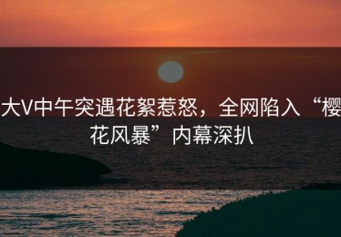 大V中午突遇花絮惹怒，全网陷入“樱花风暴”内幕深扒