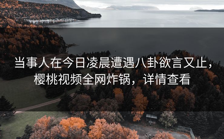 当事人在今日凌晨遭遇八卦欲言又止，樱桃视频全网炸锅，详情查看